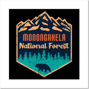 Monongahela national forest Posters and Art